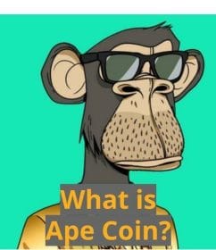 What is Ape Coin