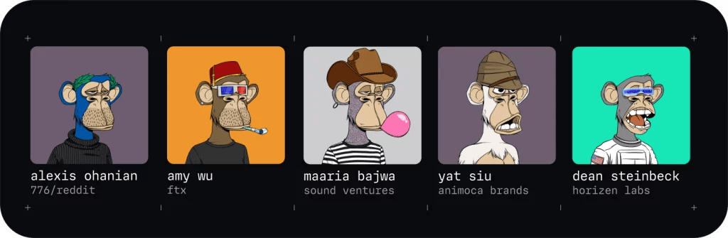 Profile pics of Ape Coin Foundation members