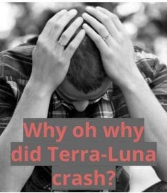 why did terra luna crash