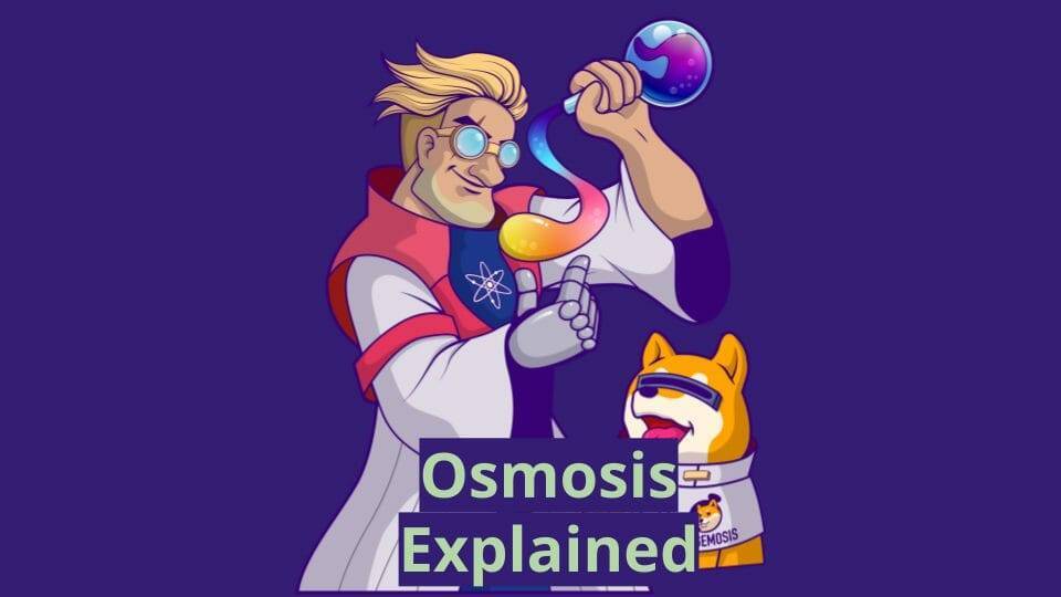 Osmosis crypto explained