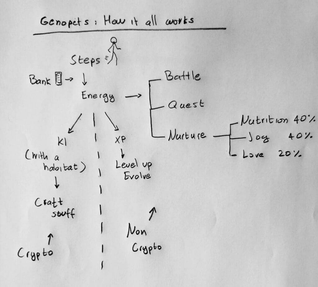 Graph of how genopets crypto works