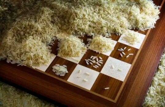 rice compounding on chess board