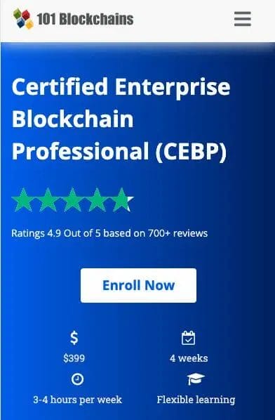 course on enterprise blockchains