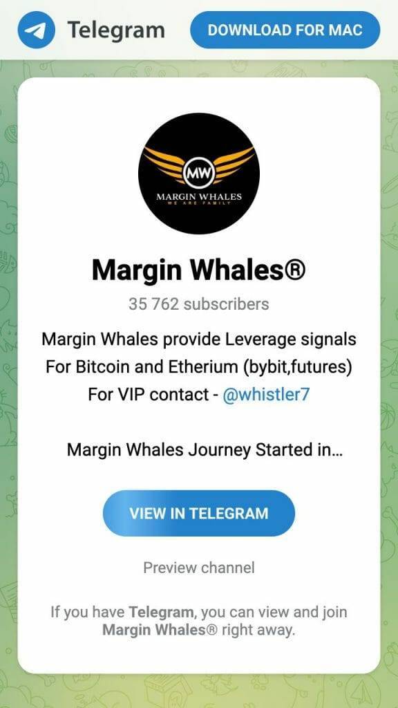 Margin Whales Telegram group